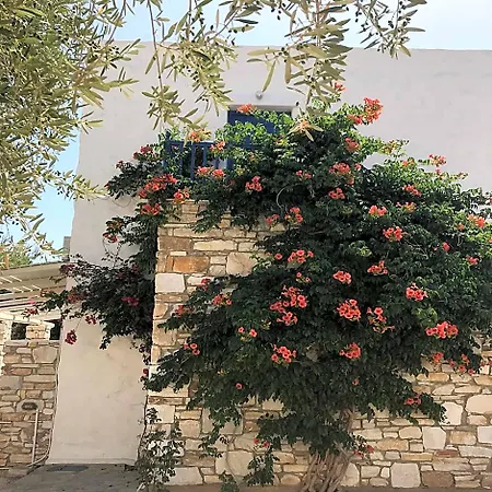 Anezina Village